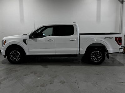 2021 Ford F-150 XLT Sport Package