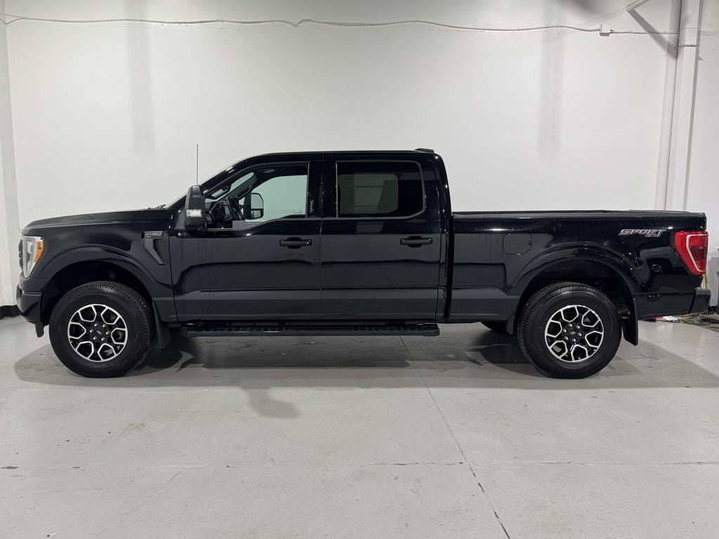 2023 Ford F-150 XLT Sport