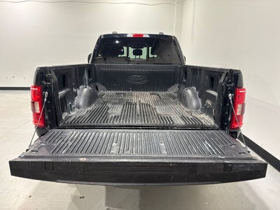 2023 Ford F-150 XLT Sport