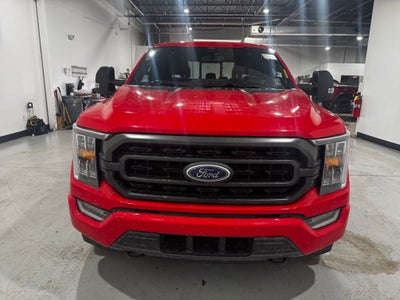 2022 Ford F-150 XLT Sport Package