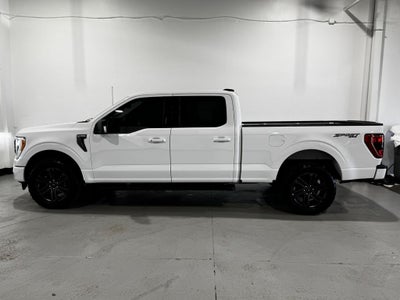 2021 Ford F-150 XLT Sport