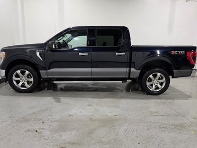 2021 Ford F-150 XLT FX4 Off-Road