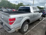2013 Ford F-150 Platinum