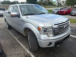 2013 Ford F-150 Platinum