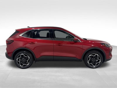 2026 Ford Escape Platinum