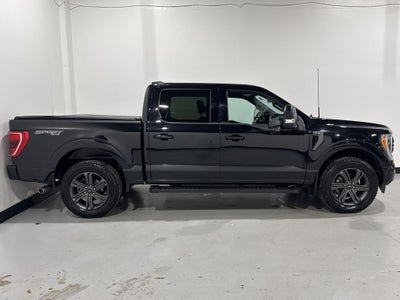 2023 Ford F-150 XLT Sport