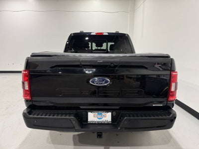2023 Ford F-150 XLT Sport