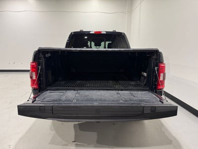 2023 Ford F-150 XLT Sport