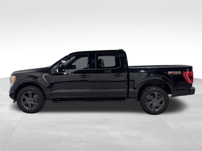2023 Ford F-150 XLT FX4 Sport