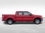 2010 Ford F-150 XLT