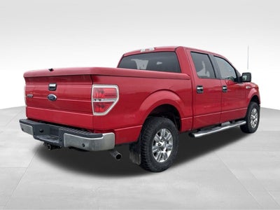 2010 Ford F-150 XLT