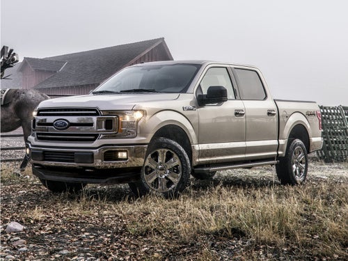 2019 Ford F-150 XLT Sport